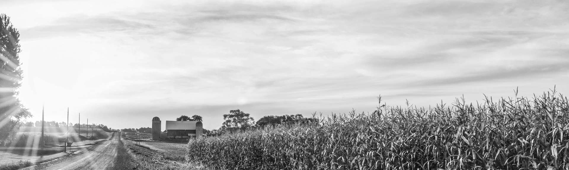 Carlson Private Capital Partners Blog Banner